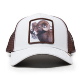 Gorra Gold Star Mountain Goat