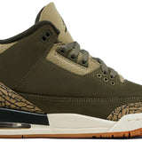 Air Jordan Retro 3 GS 'Family Affair'