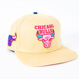 Pro standar Chicago Bulls Cream