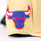 Pro standar Chicago Bulls Cream