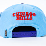 PRO STANDAR Chicago Bulls Blue Floral NBA 6X Finals Champions