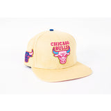 Pro standar Chicago Bulls Cream