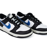 Nike Dunk Low Next Nature TPU Swoosh